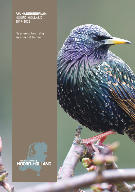Faunabeheerplan Noord-Holland 2017-2023 image