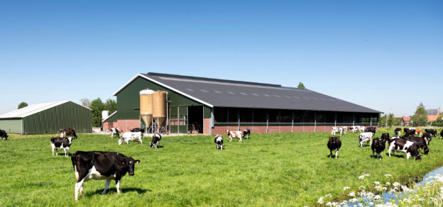 Evaluatie van de Brabantse Zorgvuldigheidsscore (BZV) image