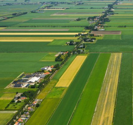 CLM’er Roy Gommer wereldkampioen ballonvaren image
