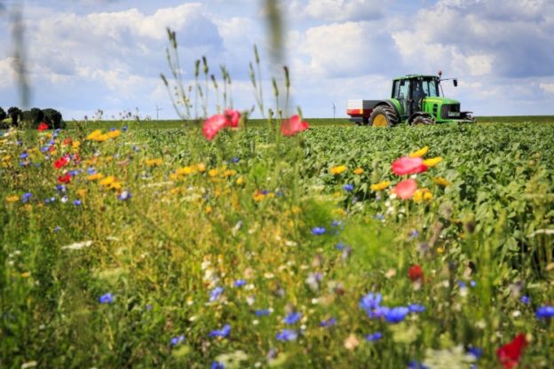 Kritische prestatie-indicatoren voor akkerbouw in Flevoland image