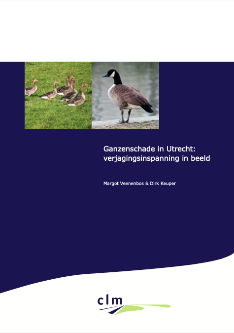 Ganzenschade in Utrecht: verjagingsinspanning in beeld image