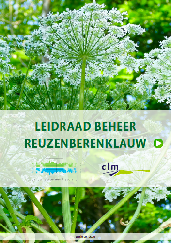 Leidraad beheer reuzenberenklauw image