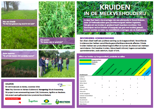 Kruiden in de melkveehouderij image