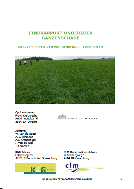 Eindrapport Onderzoek Ganzenschade image