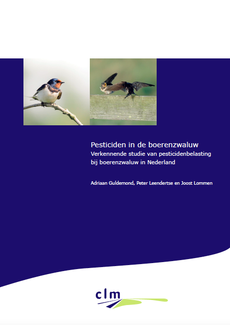 Pesticiden in de boerenzwaluw image