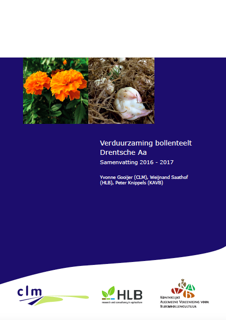 Samenvatting rapportage ‘Verduurzaming bollenteelt Drentsche Aa’ image