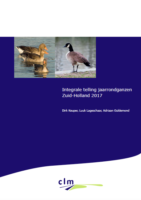 Integrale telling jaarrondganzen Zuid-Holland 2017 image