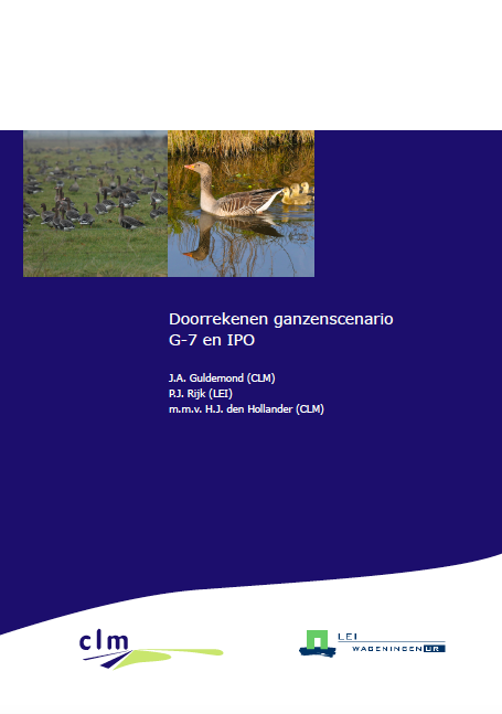 Doorrekenen ganzenscenario G-7 en IPO image