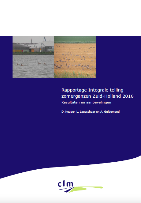 Integrale telling zomerganzen Zuid-Holland 2016 image