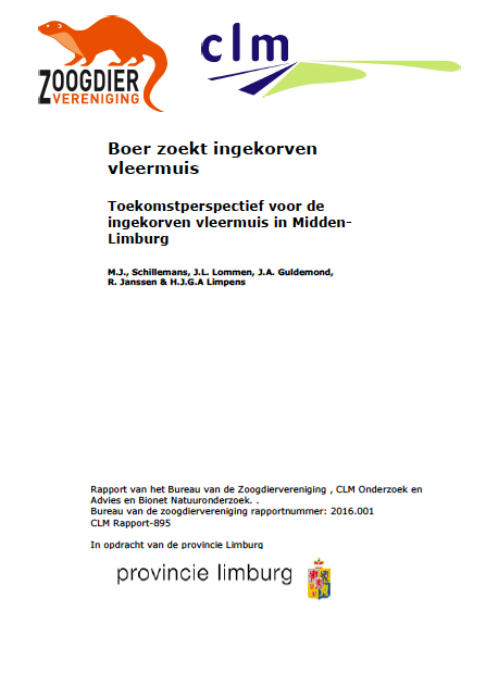 Boer zoekt ingekorven vleermuis image