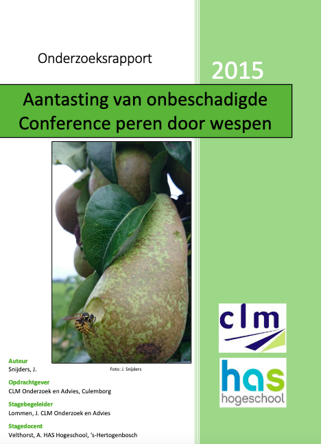 Aantasting van onbeschadigde Conferenceperen door wespen image