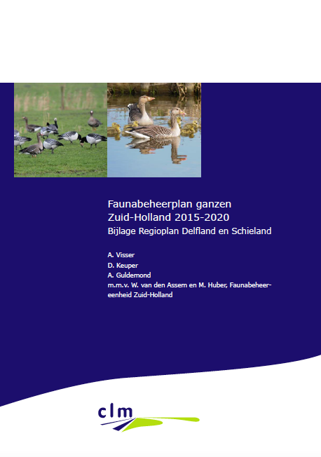 Regioplan Delfland, Faunabeheerplan Ganzen Zuid-Holland 2015-2020 image