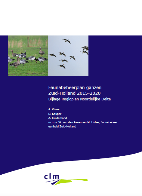Regioplan Noordelijke Delta, faunabeheerplan ganzen Zuid-Holland 2015-2020 image