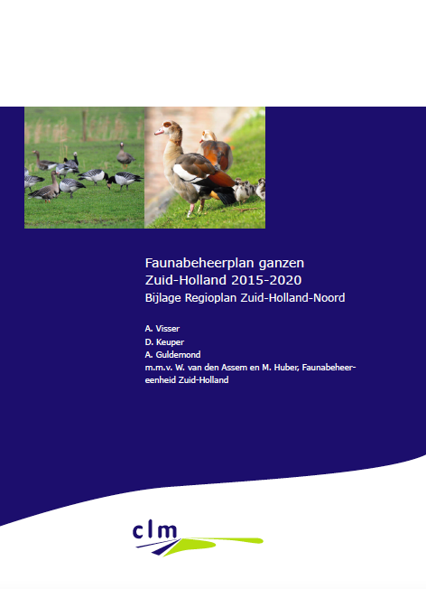 Regioplan Zuid-Holland-Noord, Faunabeheerplan Ganzen Zuid-Holland 2015-2020 image
