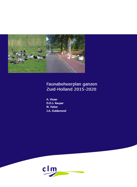 Faunabeheerplan Ganzen Zuid-Holland 2015-2020 image