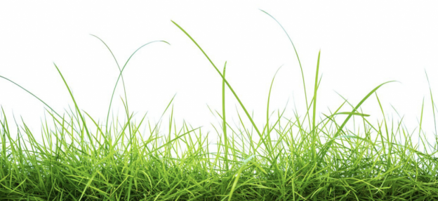 Bijeenkomstenreeks: effect van water op natuurgrasvelden image