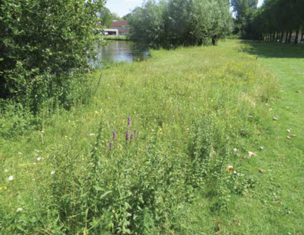 Een groene gemeente is een chemievrije gemeente image