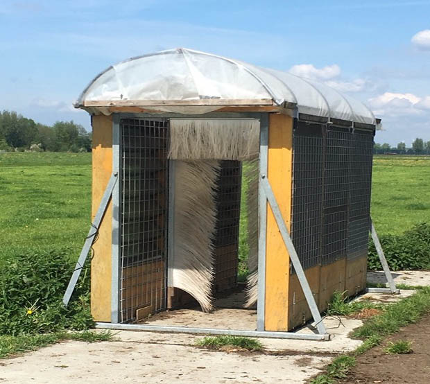 Brochure Vliegenval image