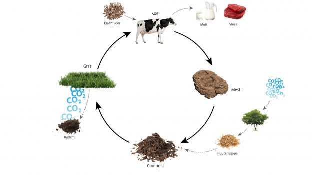 Video: waarom Henk koos voor een klimaatbos op zijn melkveebedrijf. image