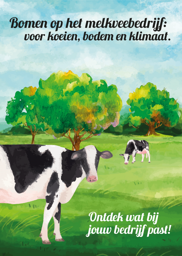 Bomen op het melkveebedrijf: voor koeien, bodem en klimaat image