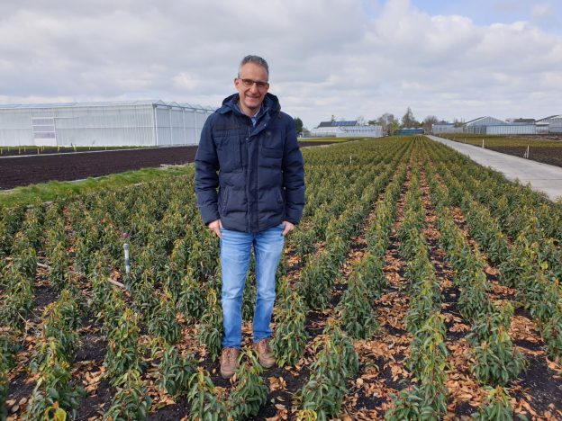 Mechanisch is bijna alles mogelijk in de boomkwekerij image