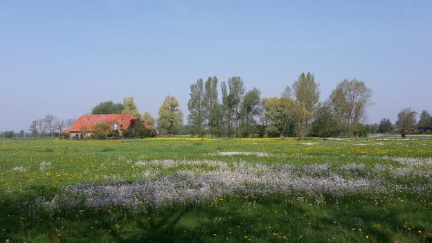 Beoordelingskader ontwikkeld voor groenblauwe-dooradering image