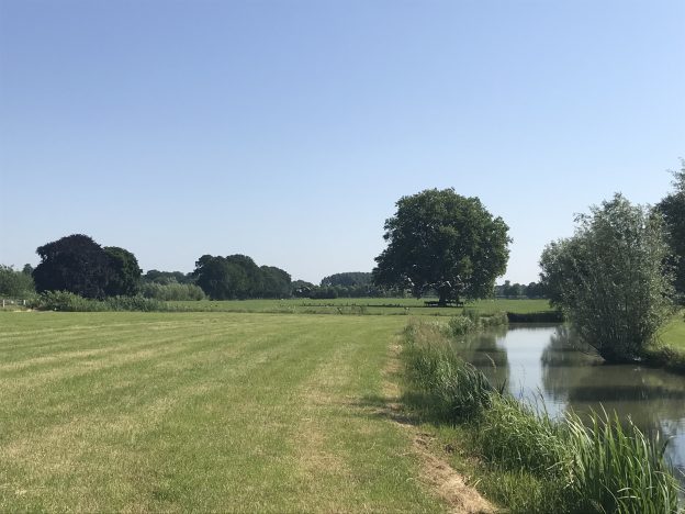 Duurzaamheid en biodiversiteit landgoederen Amelisweerd en Rhijnauwen image
