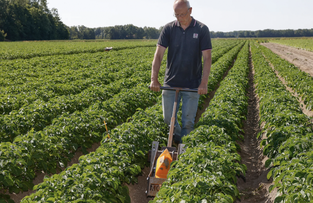 Afspoeling van regenwater op perceel niet overal hetzelfde image