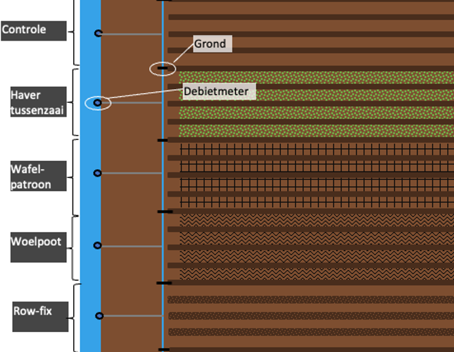 Schematische opzet van de afspoelingsproef in 2022, waarin vier maatregelen werden vergeleken met een controleveld. Deze opzet is zes keer herhaald.