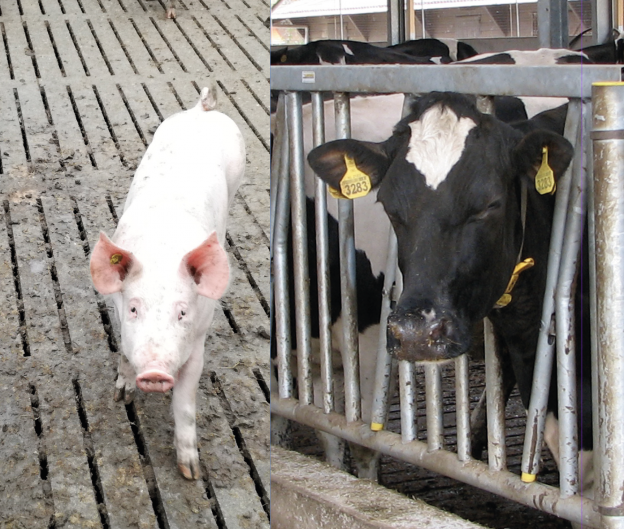 Draagvlak voor innovatieve emissiereducerende maatregelen vraagt aandacht image