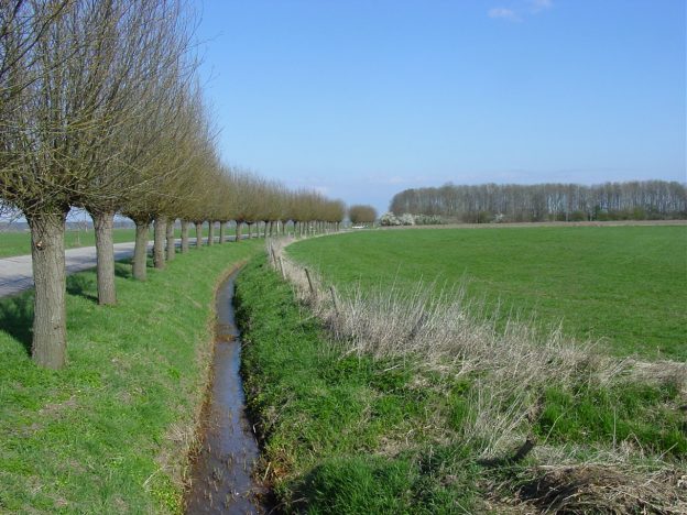 Score activiteiten op doelstellingen in de eco-regelingen van het Nationaal Strategisch Plan image