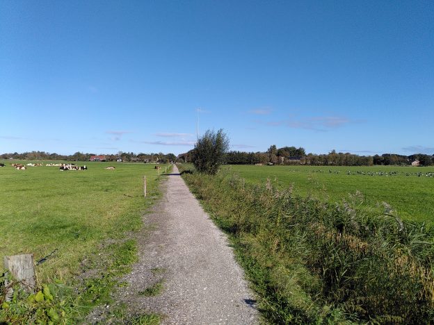 Inzicht in de ammoniakemissie op Schiermonnikoog image