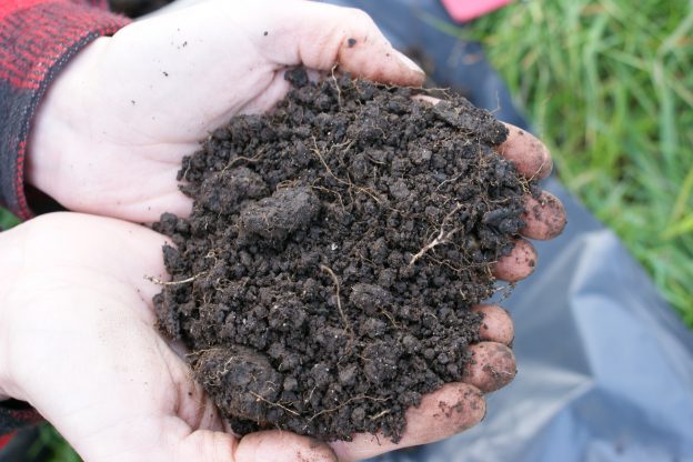 Gezonde bodem cruciaal voor toekomst van de landbouw image