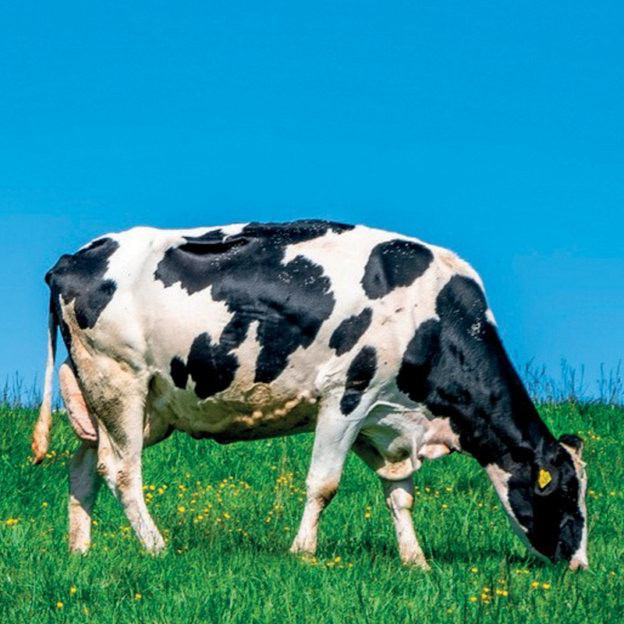 Mid-term review Brabantse Biodiversiteitsmonitor  image