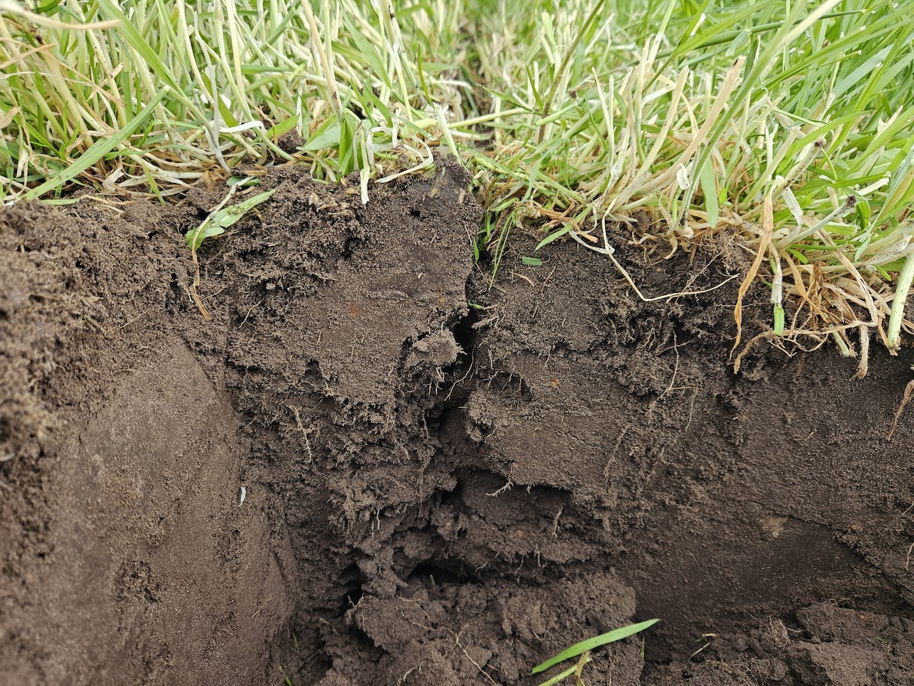 Effect van woelen op de bodemstructuur