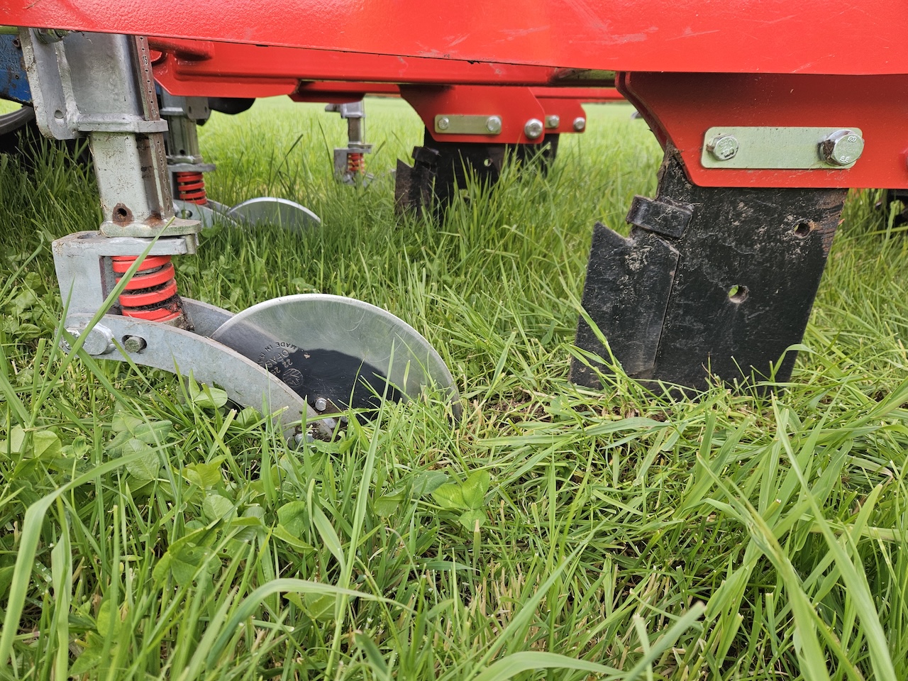 Close-upfoto van de graslandwoeler